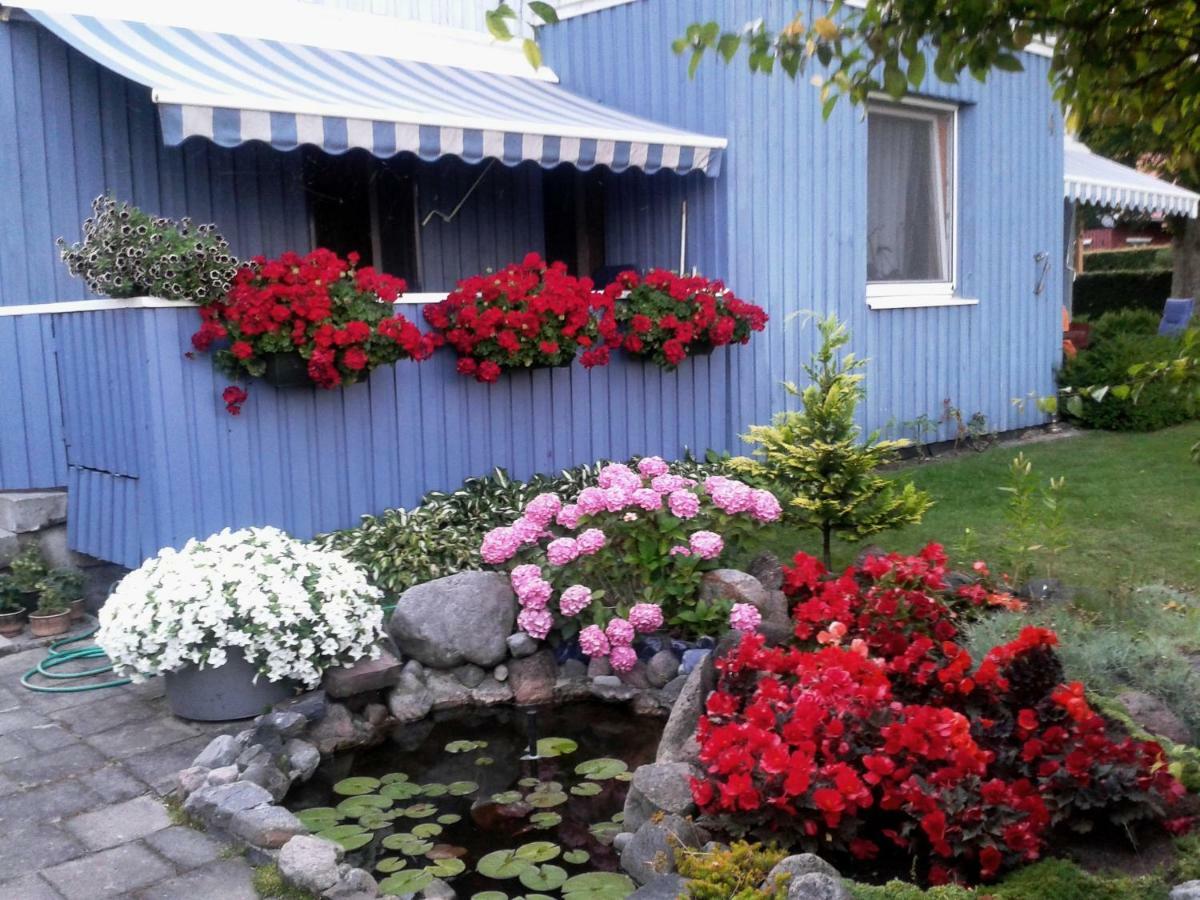 Kambariu Nuoma Ant Mariu Kranto Apartment Juodkrante Ngoại thất bức ảnh